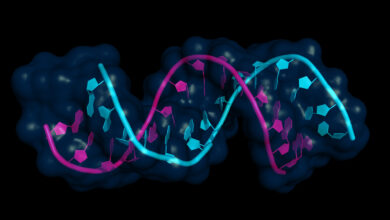 North America Gene Expression Market