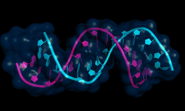 North America Gene Expression Market