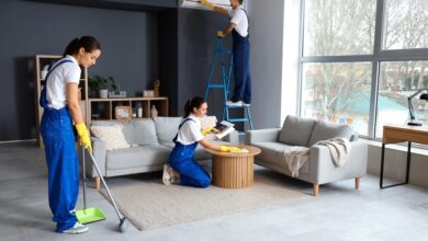 Home Cleaning Service In Tampa FL