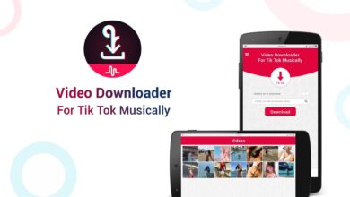 Download Tiktok videos quickly